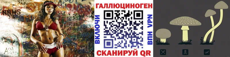 Галлюциногенные грибы Cubensis Курлово